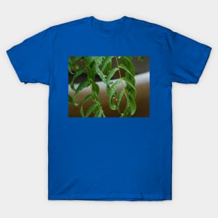 Morning dew T-Shirt